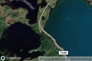 Kolvika