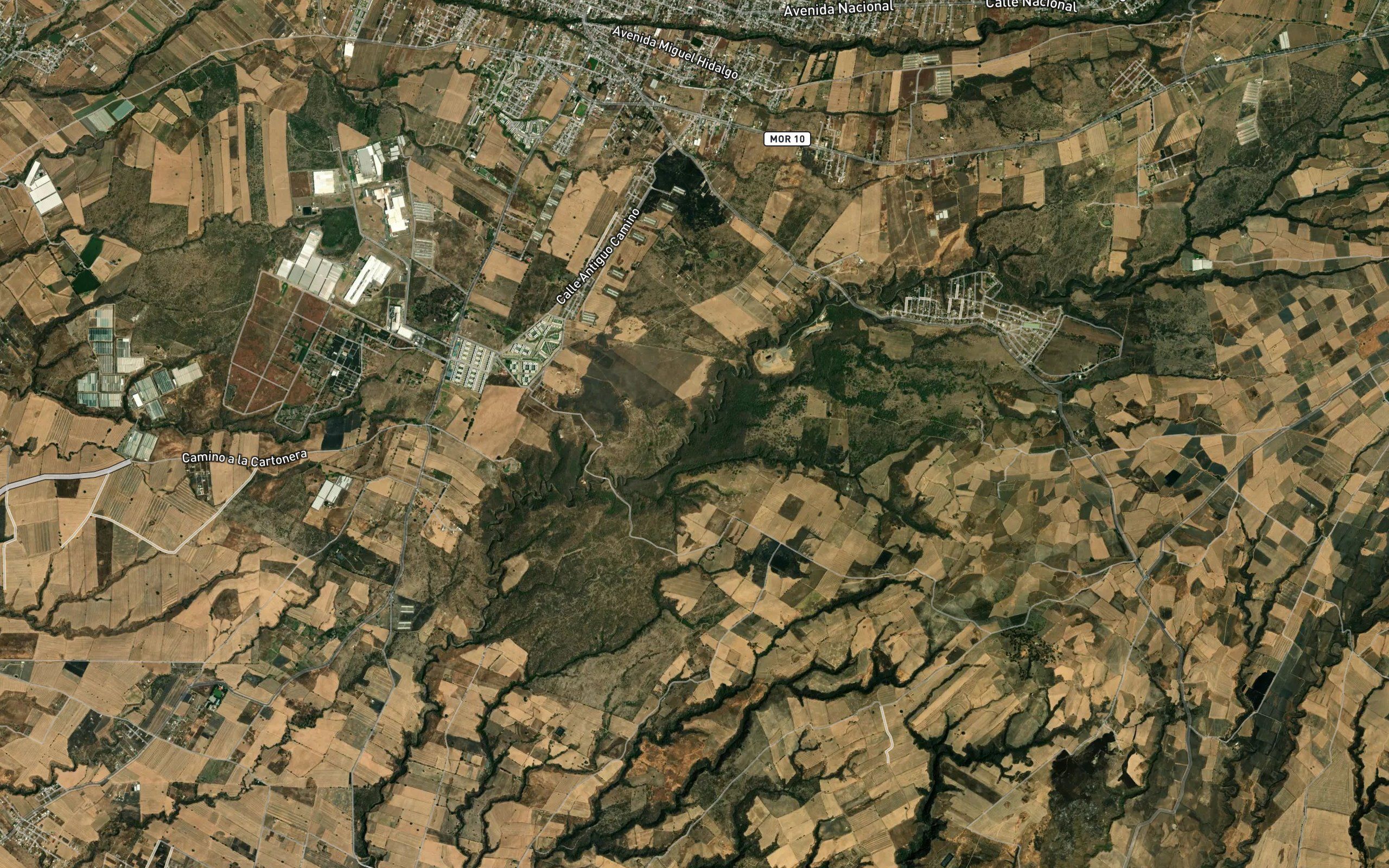 Calalpa