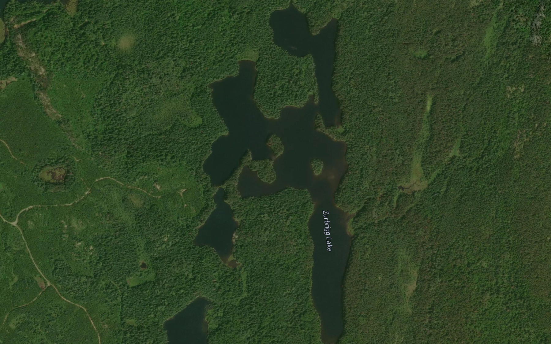 Satellite map of the Zurbrigg Lake