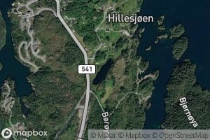Hidletjorna