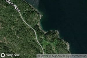 Tronvika