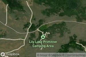 Lily Lake