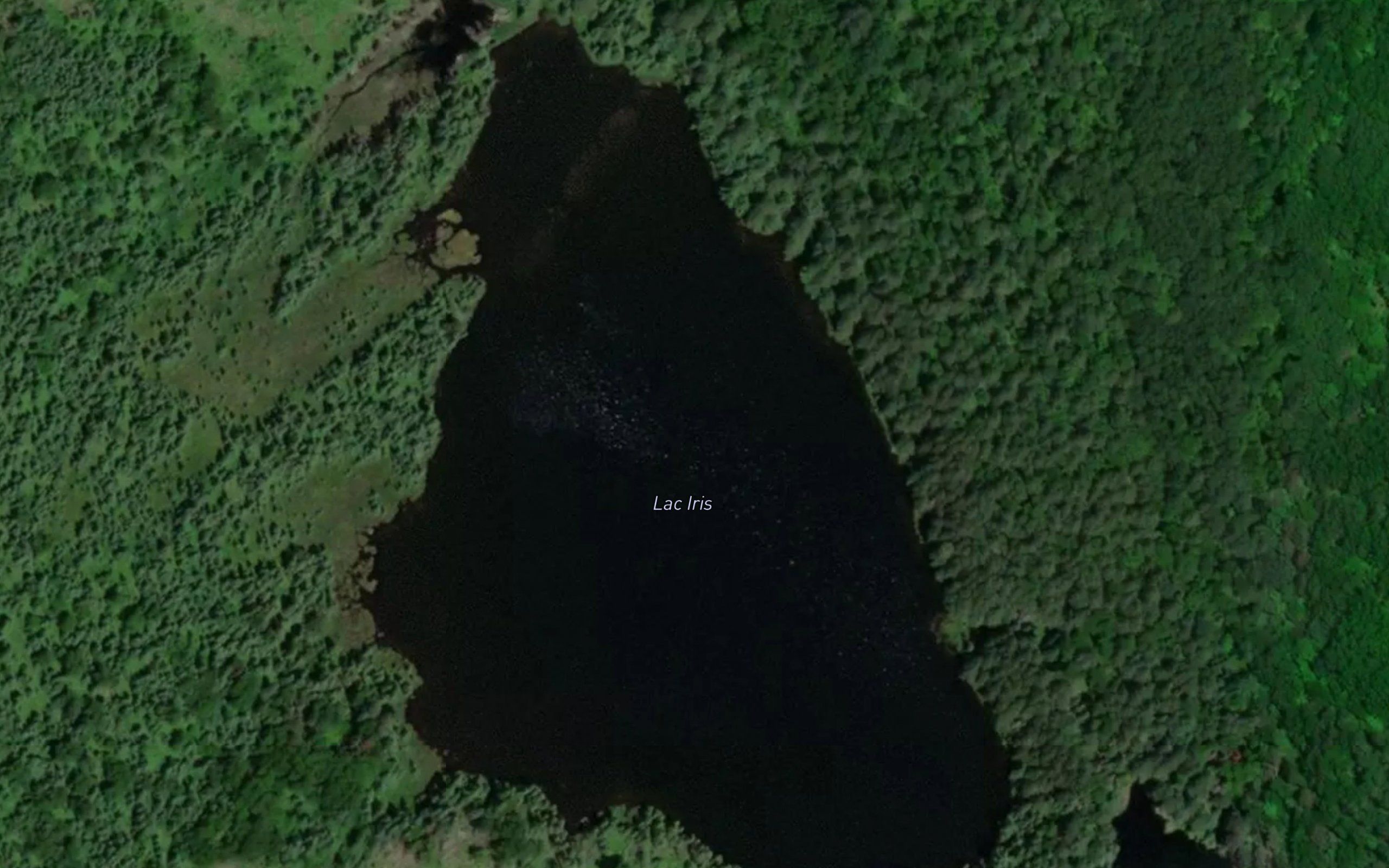 Lac Iris
