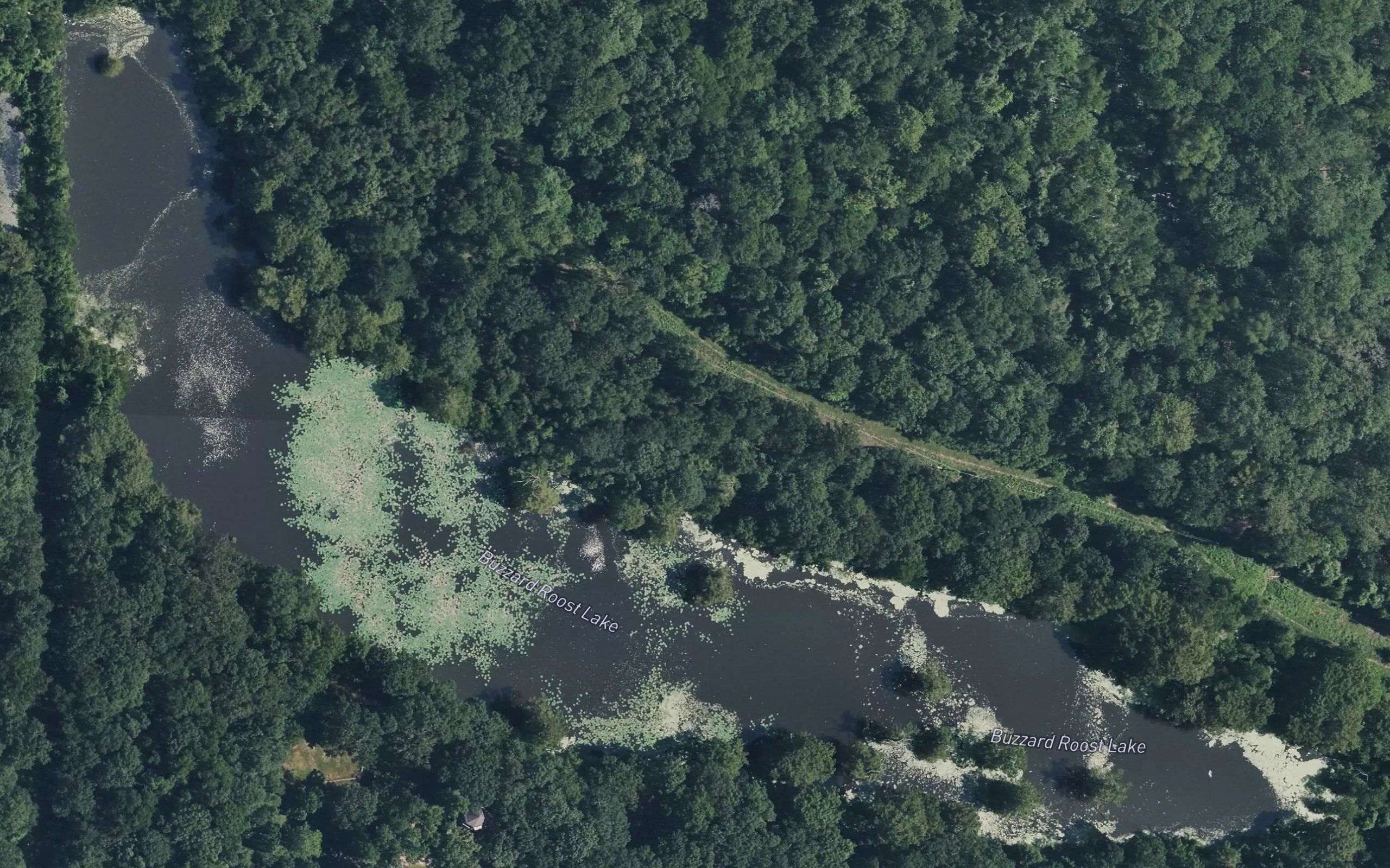Buzzard Roost Lake