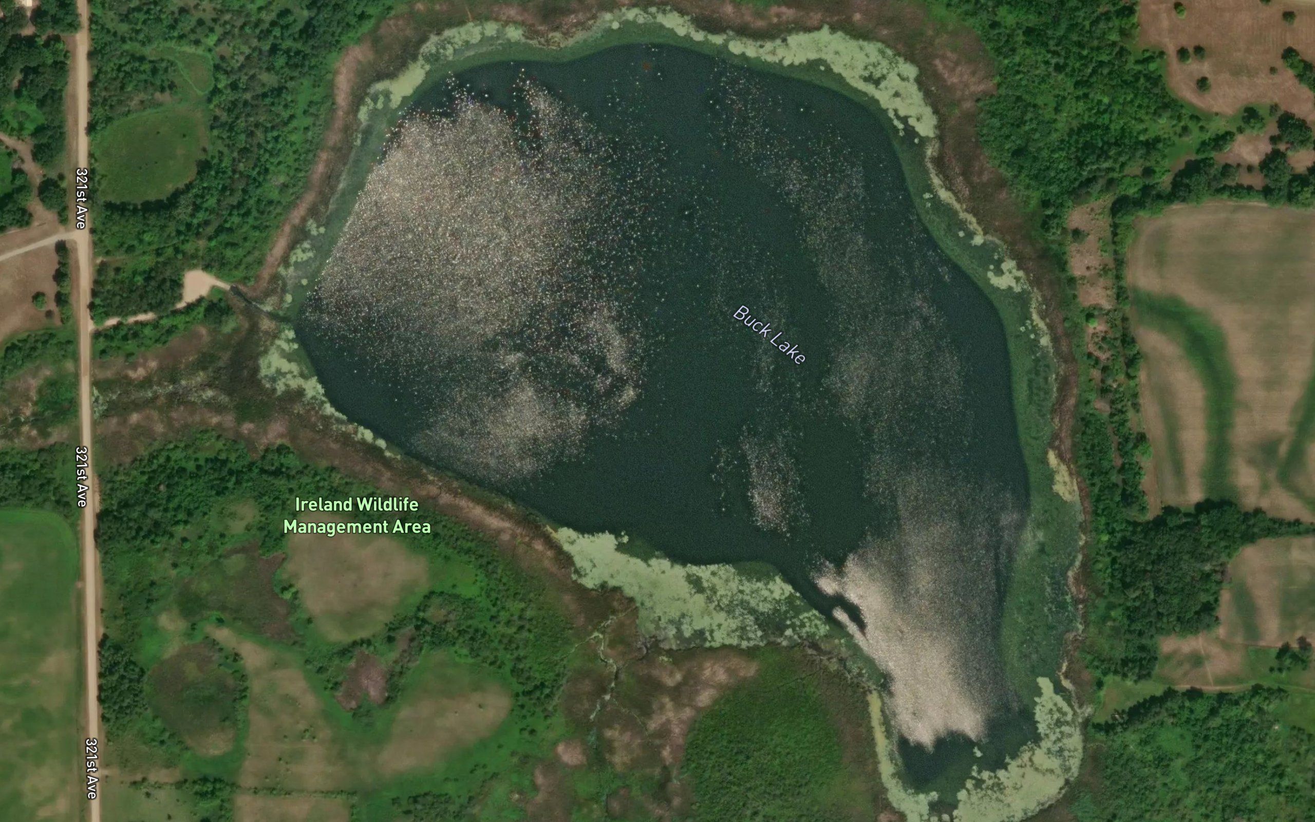 Buck Lake