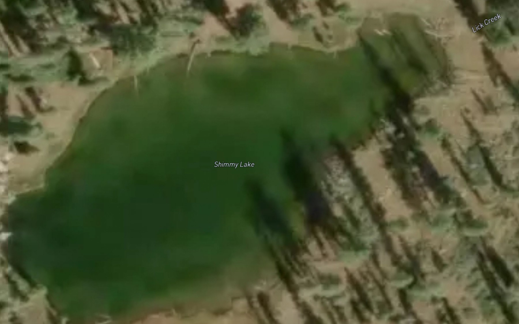 Satellite map of the Shimmy Lake