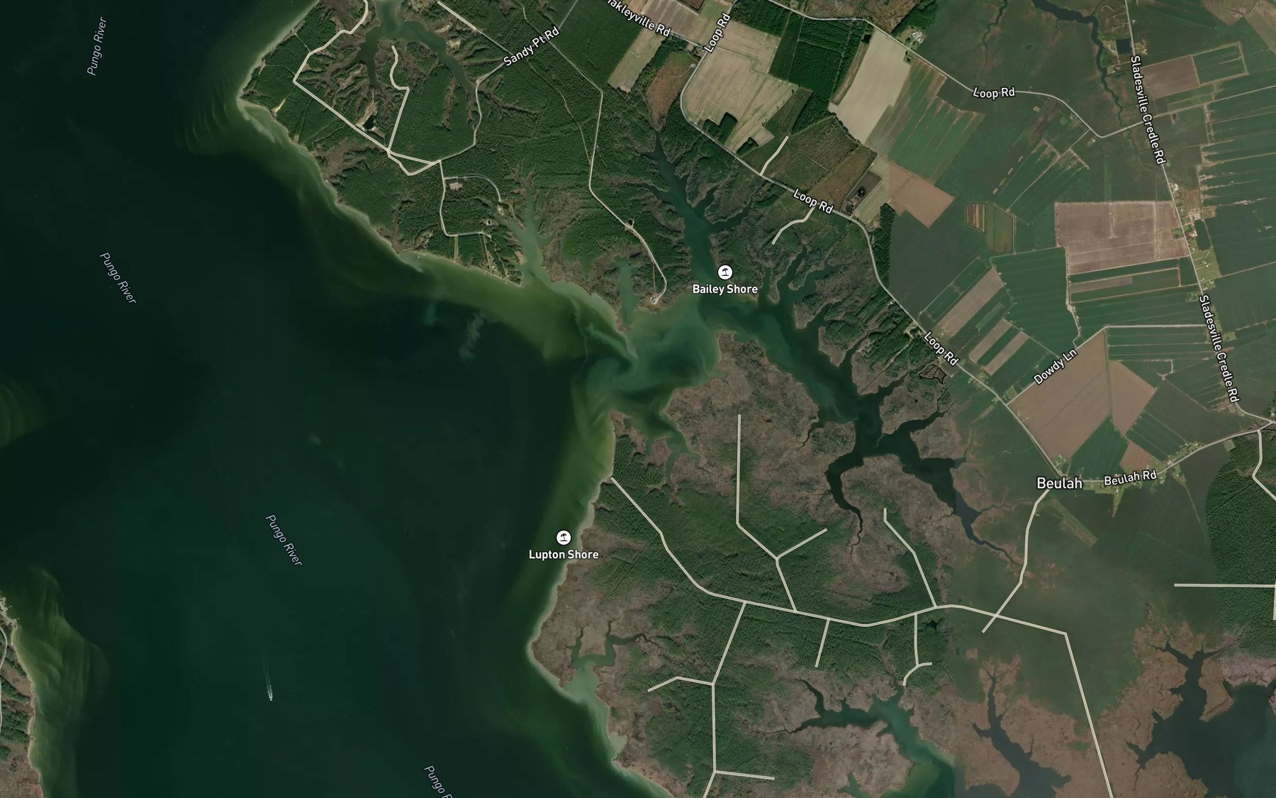 Satellite map of the Dixon Creek