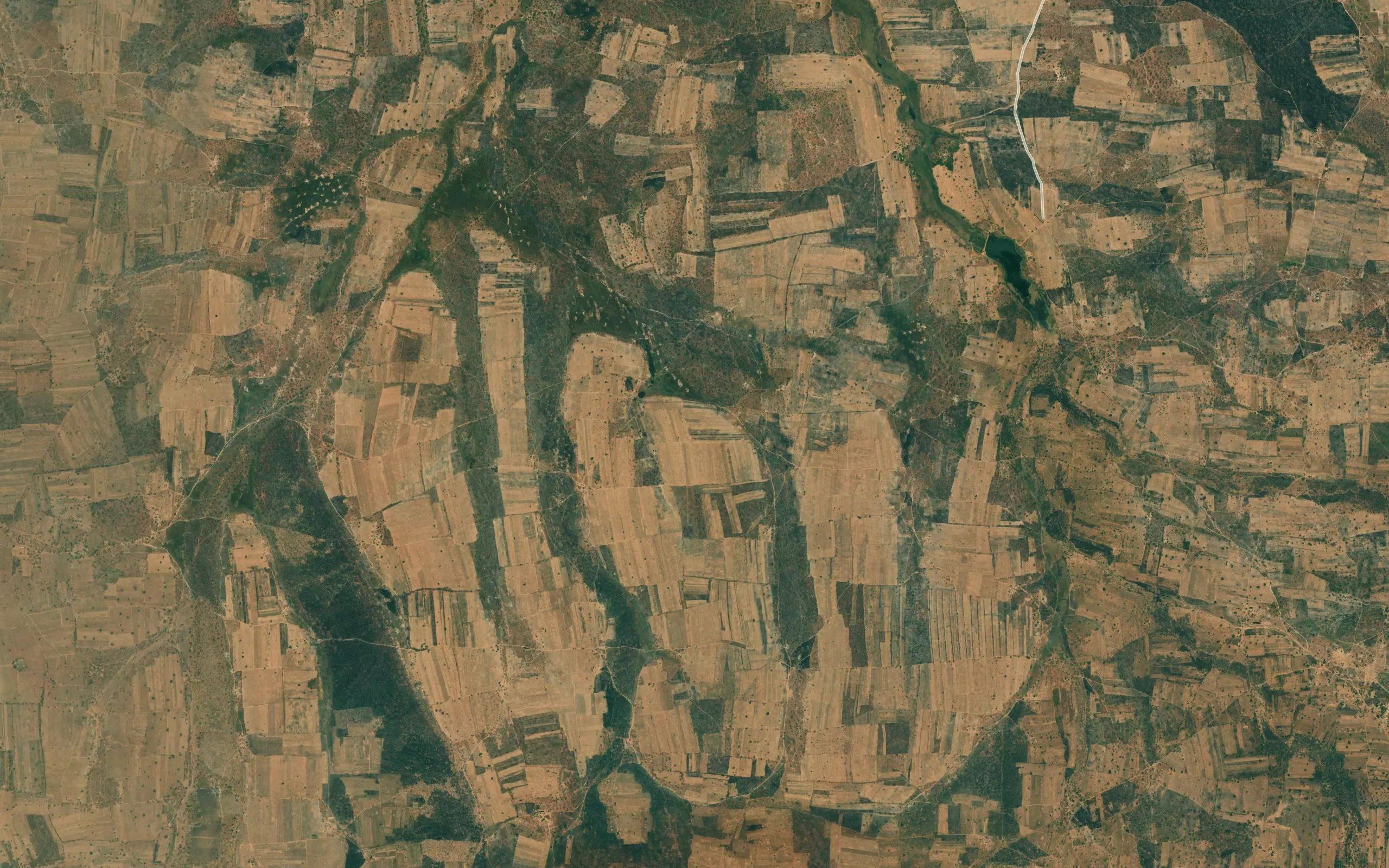 Bungashiya