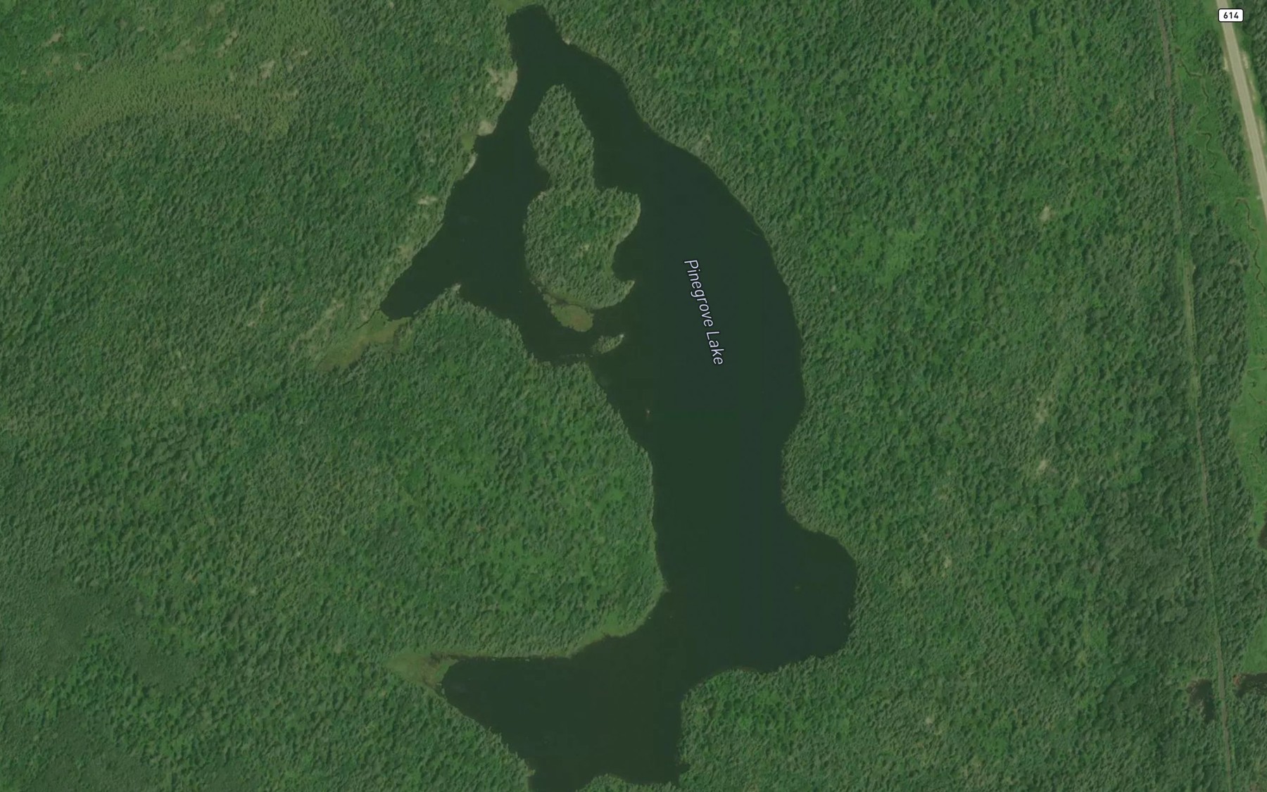 Satellite map of the Pinegrove Lake