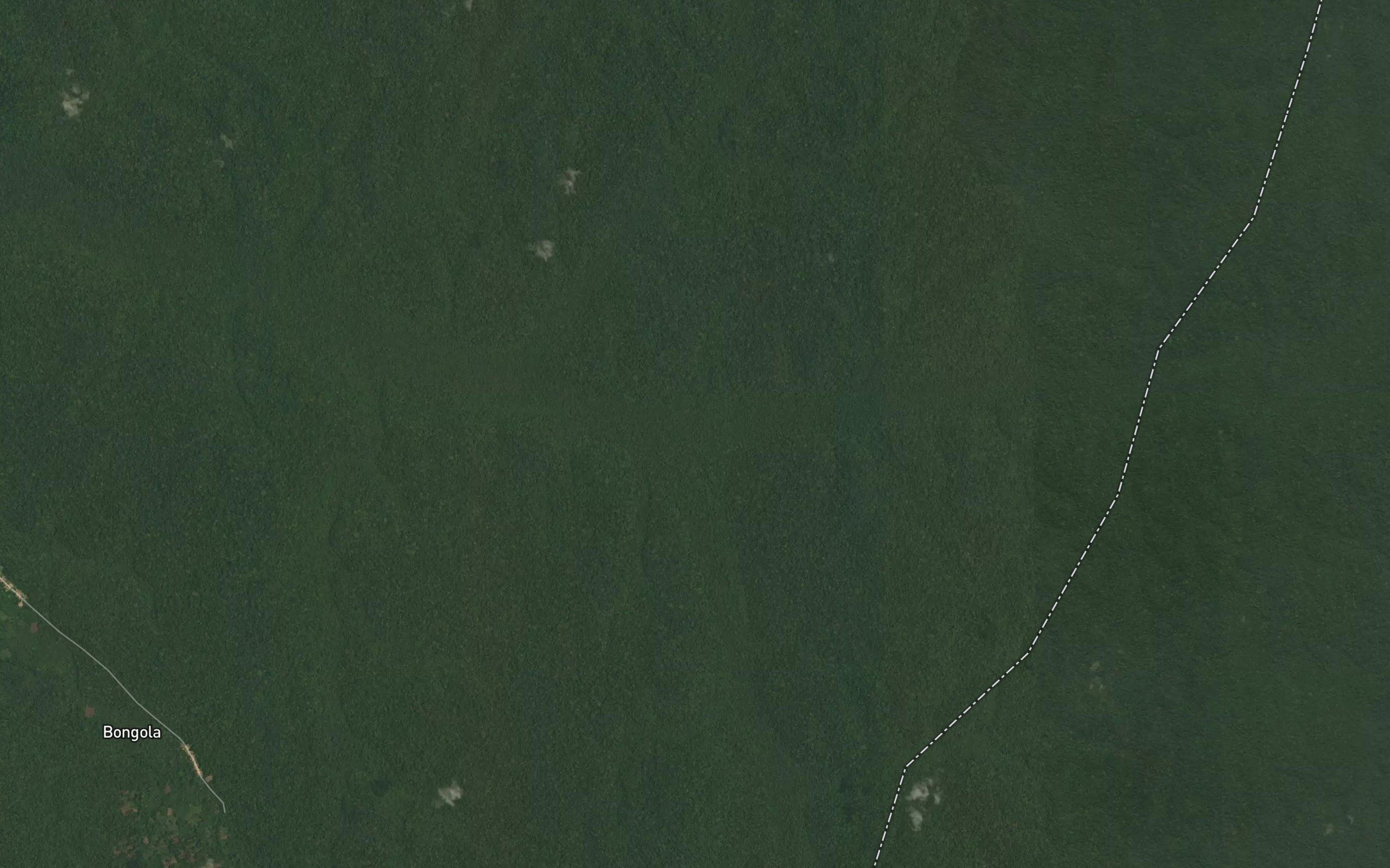 Masengwa