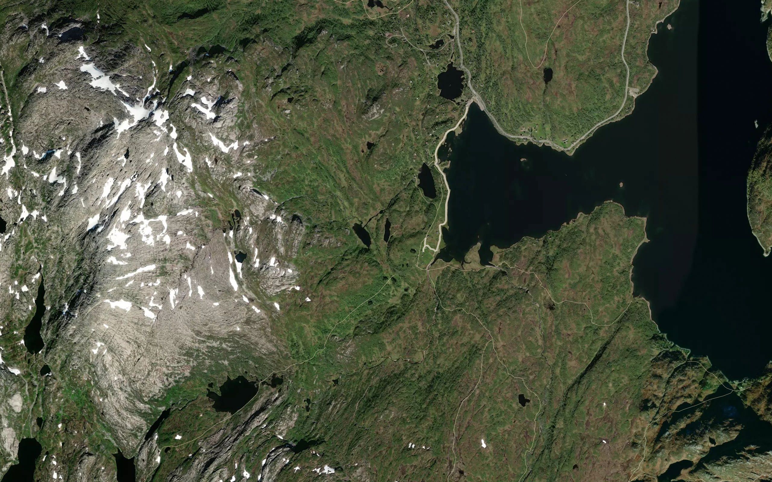 Haugatjorn