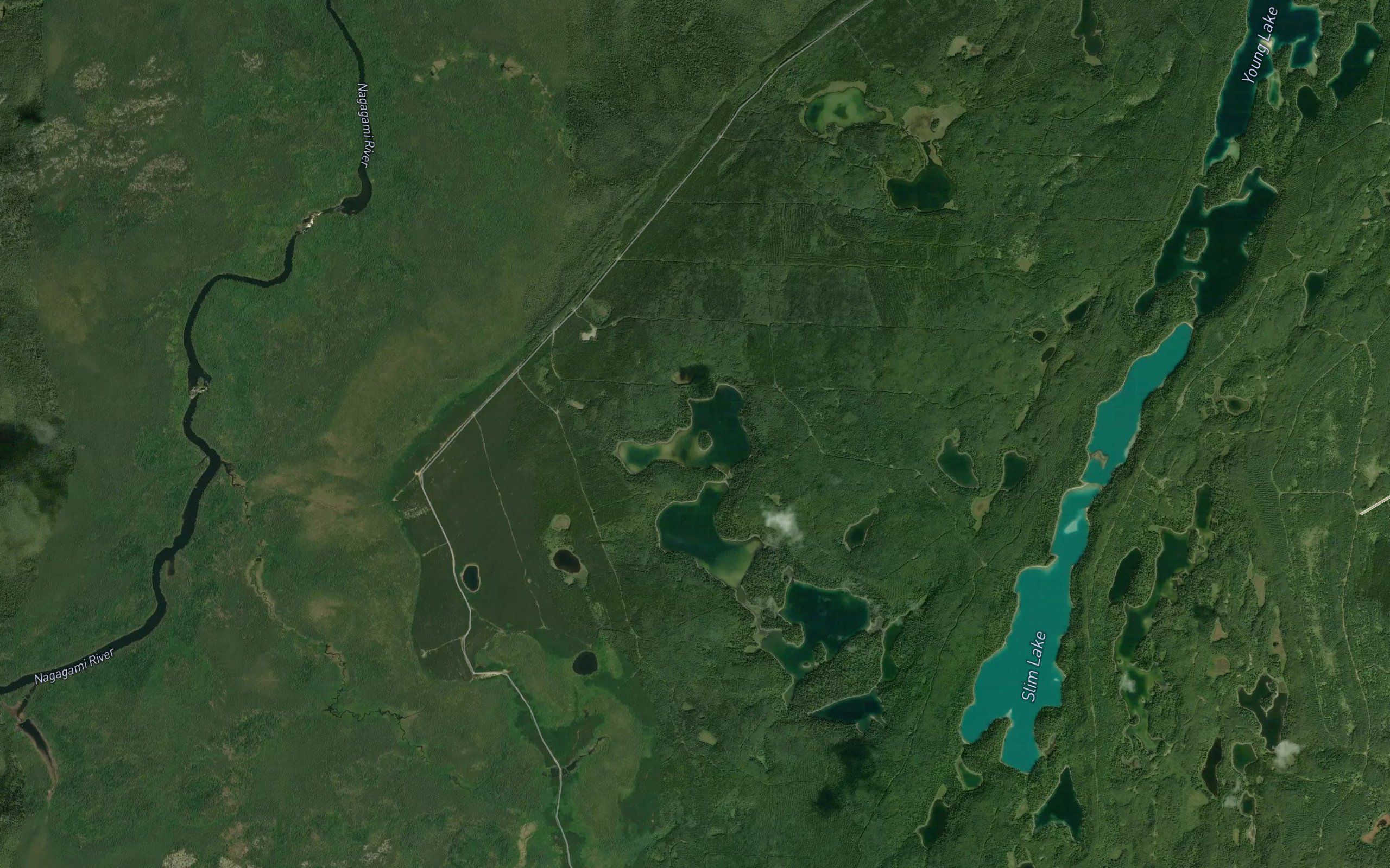 Goldie Lake