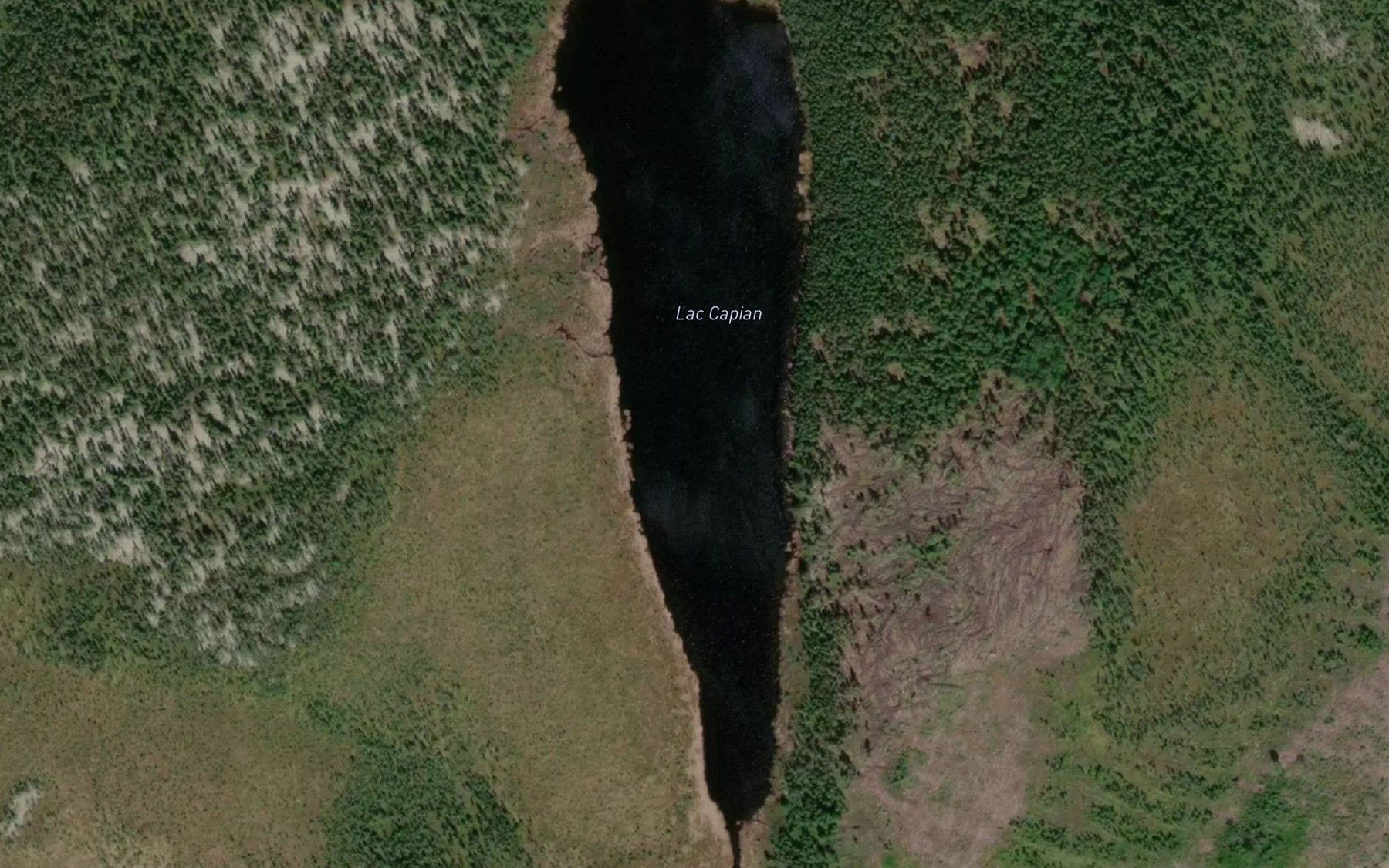 Satellite map of the Lac Capian