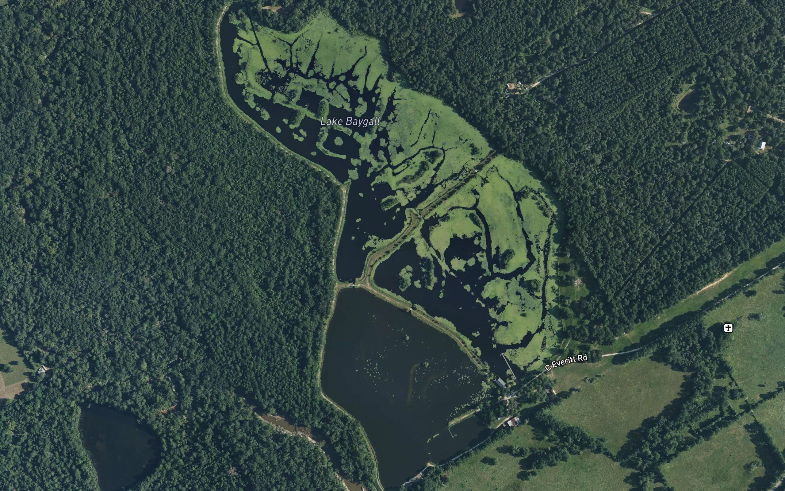 Lake Baygall