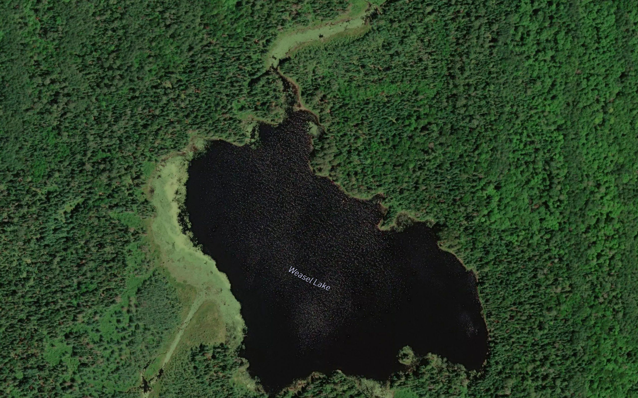 Weasel Lake