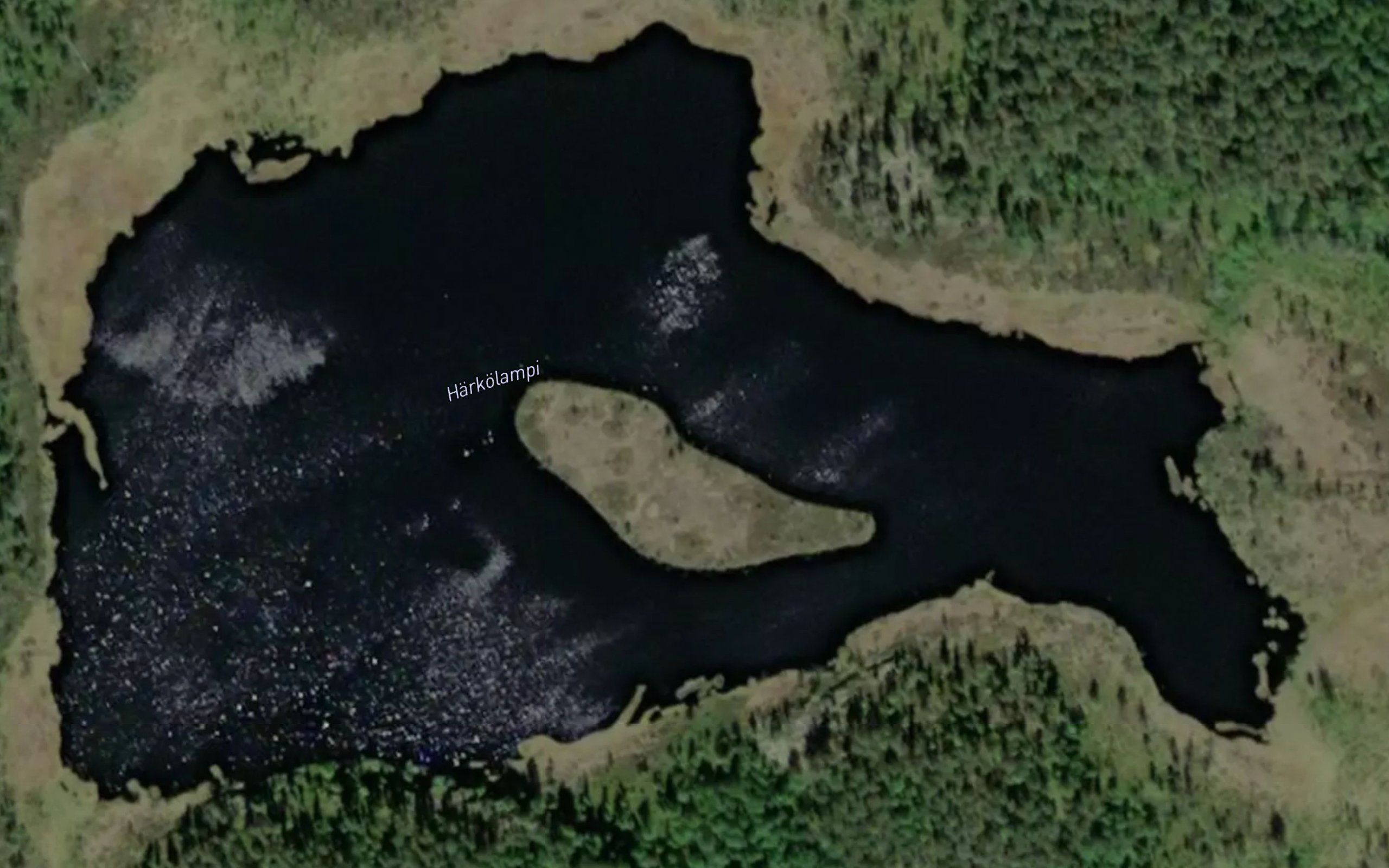 Harkolampi