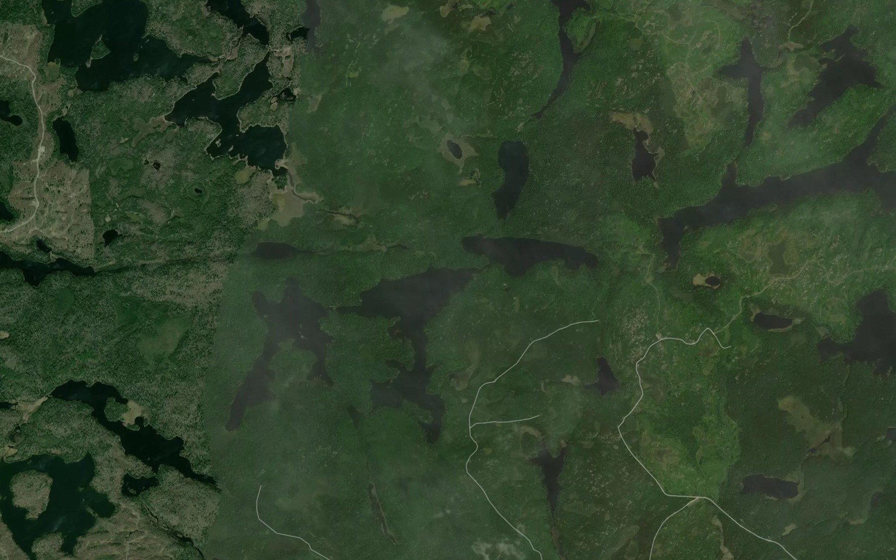Satellite map of the Fish Hawk Lake