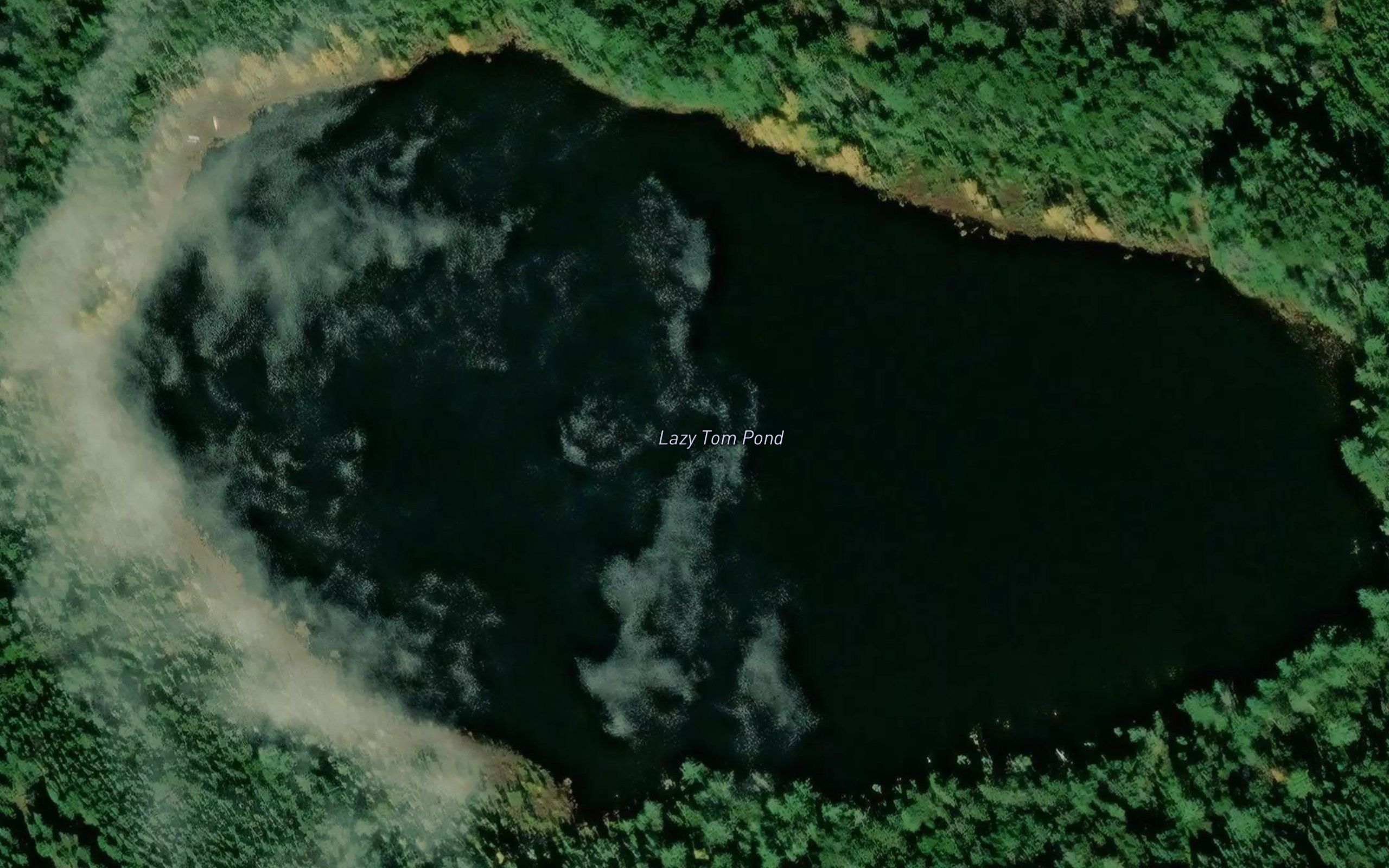Lazy Tom Pond