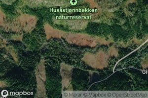 Husastjonnbekken