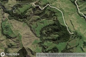 Satellite map of the Kauhauroa Stream