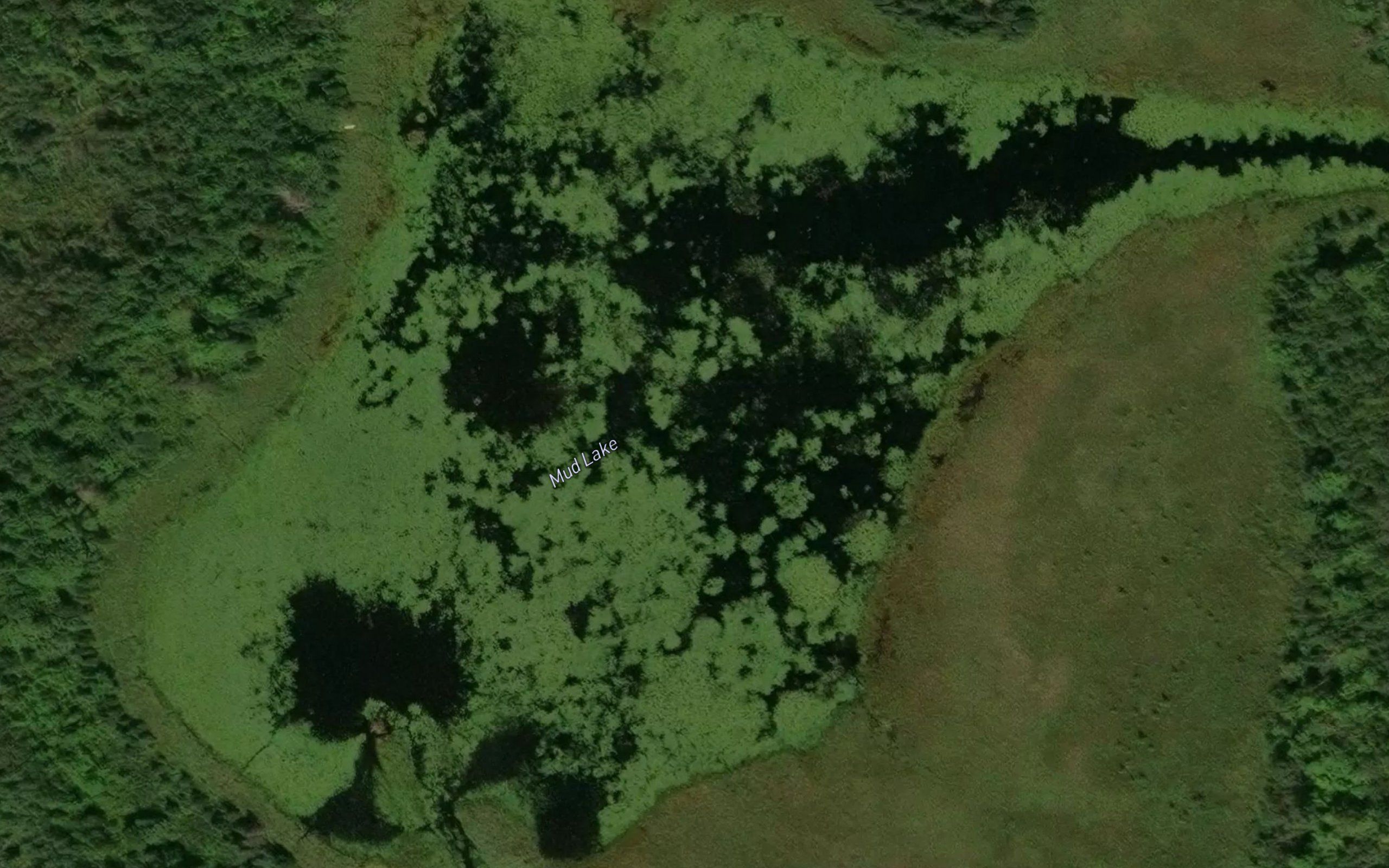 Mud Lake