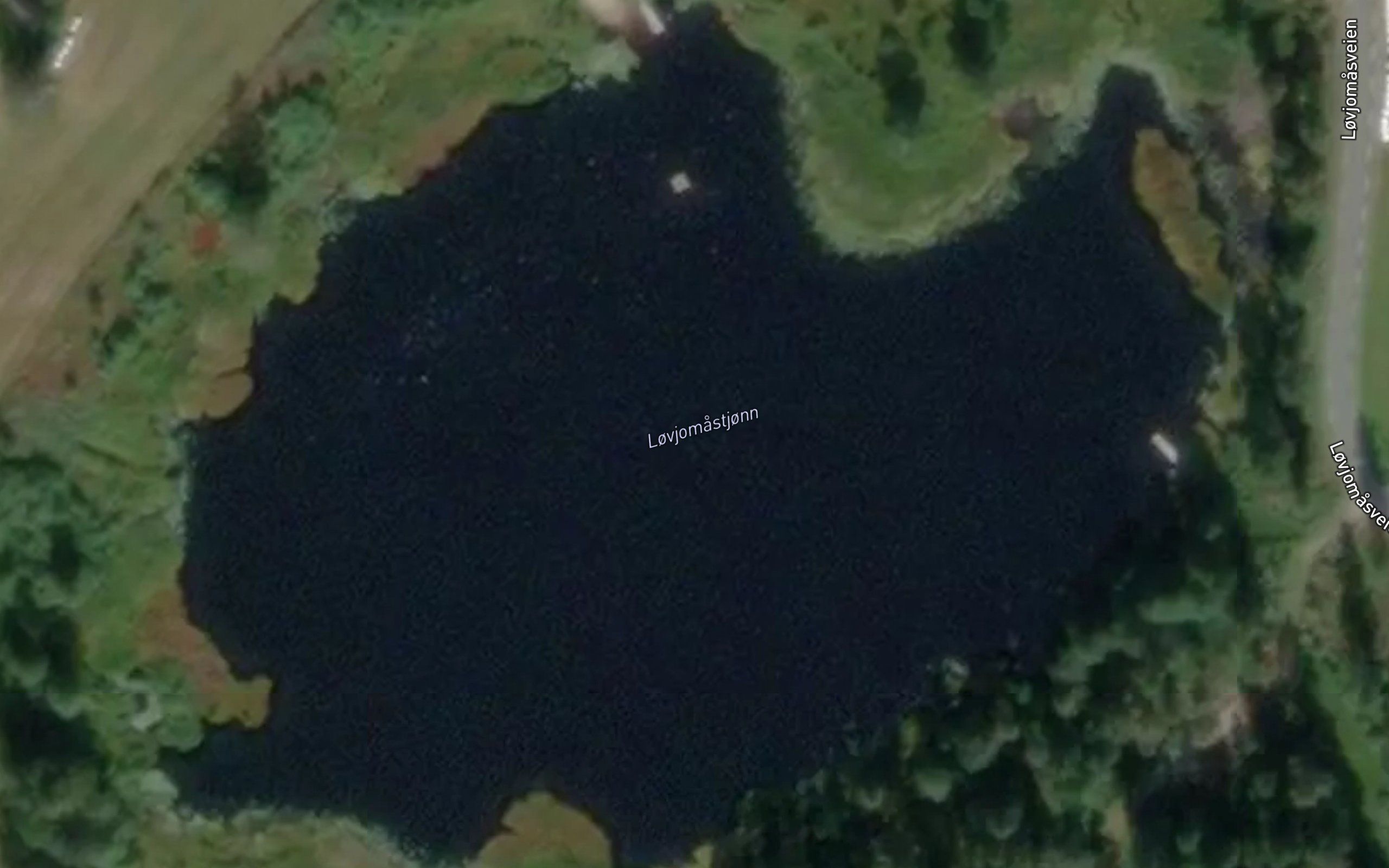 Lovjomastjonn