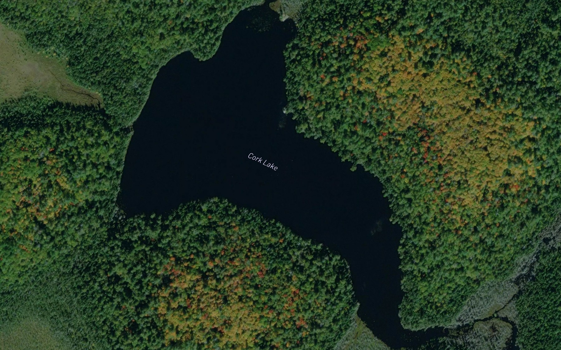 Satellite map of the Cork Lake