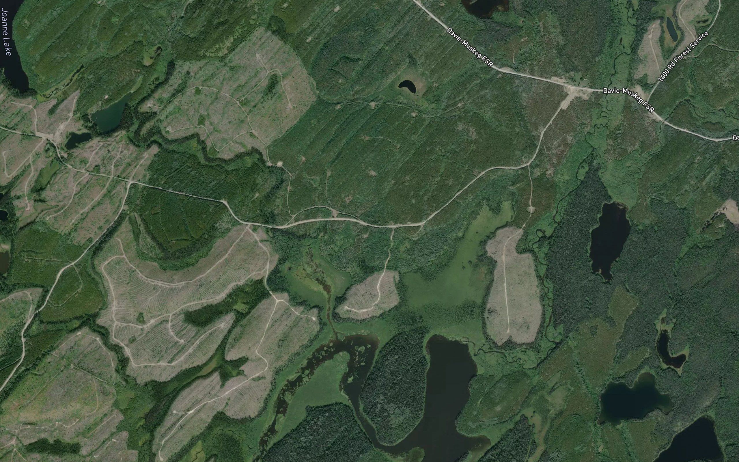 Joanne Creek
