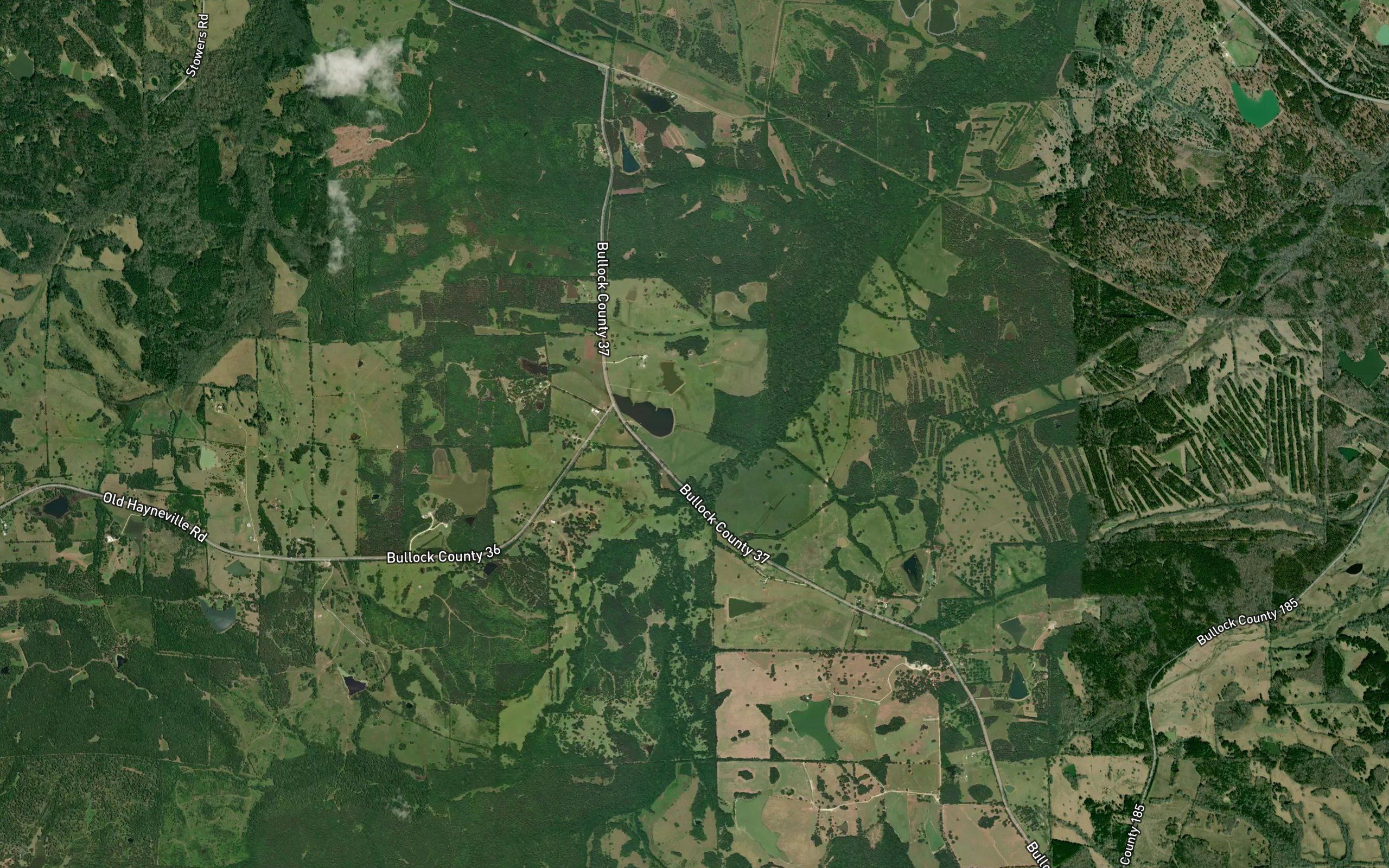 Mitchell Lake