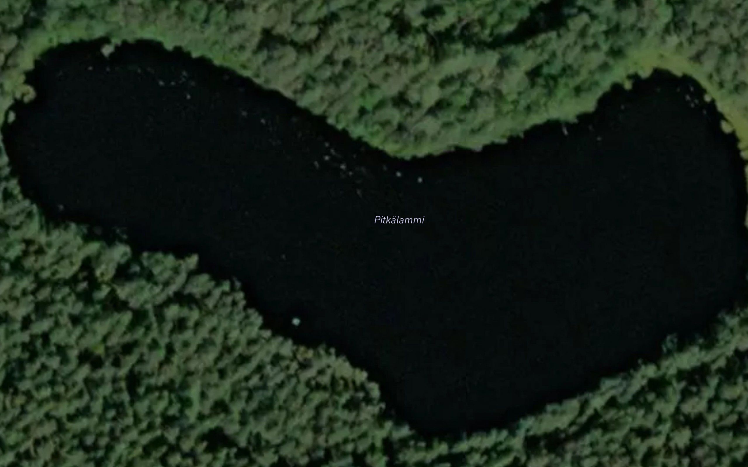 Pitkalammi
