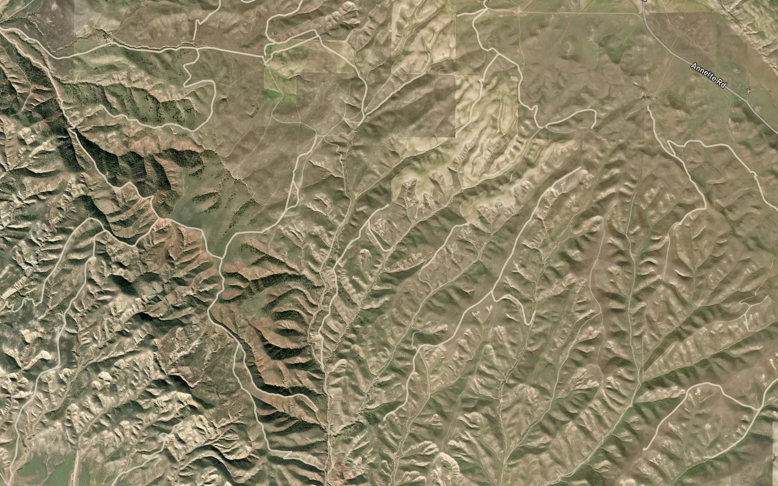 Williamson Spring