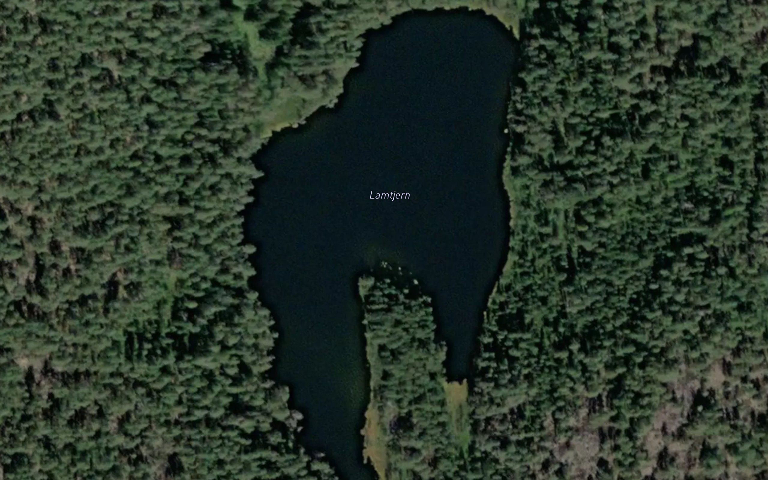 Lamtjern