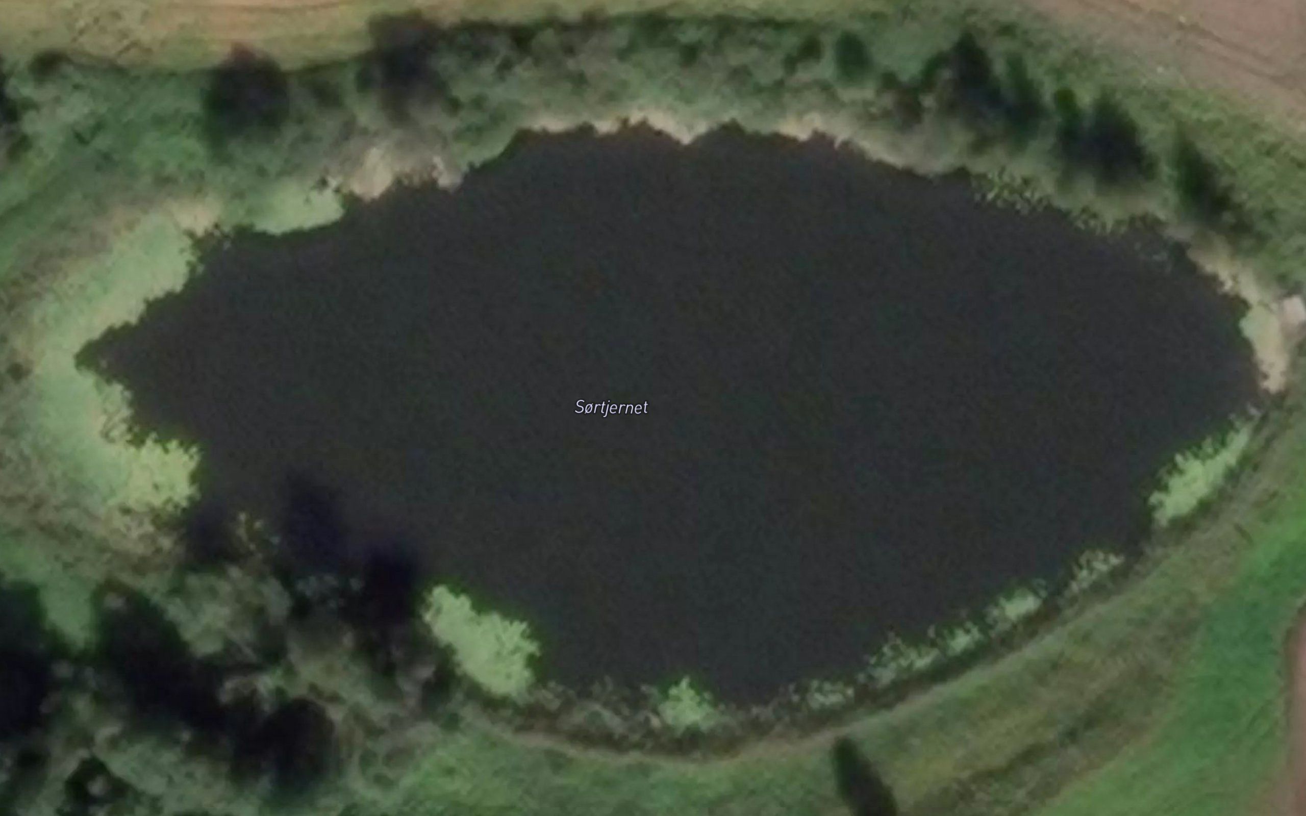 Sortjernet