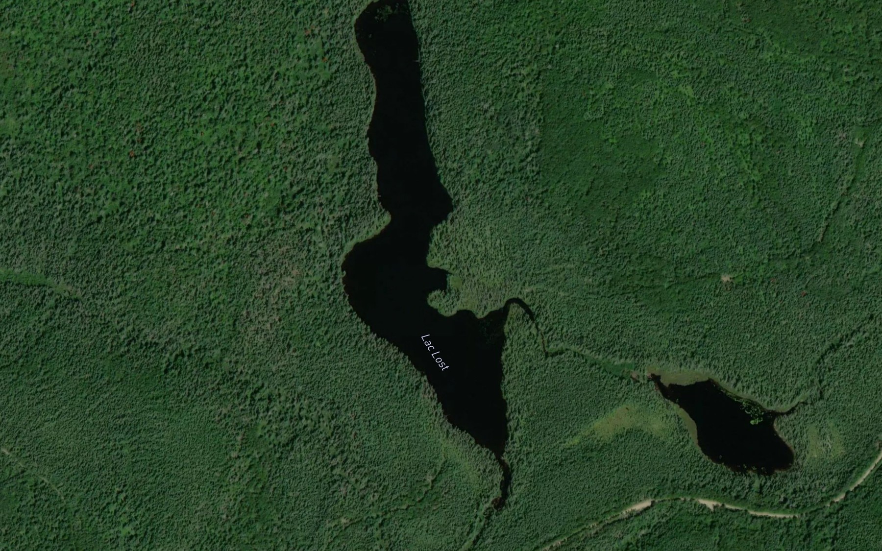 Satellite map of the Lac Lost