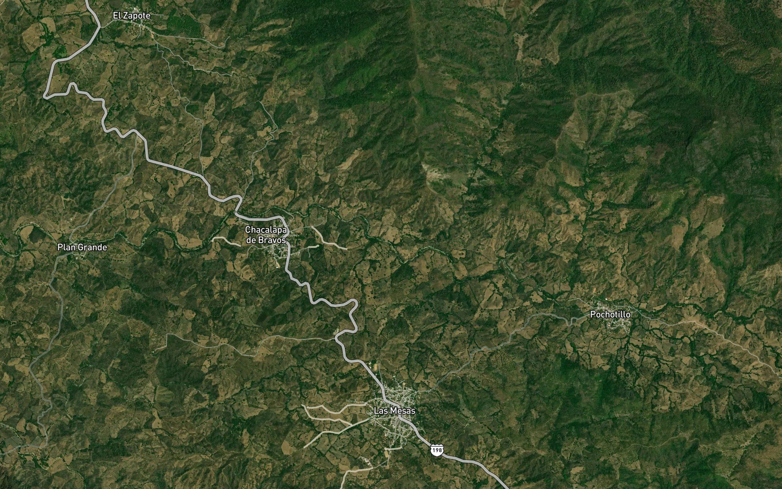 Pochotillo