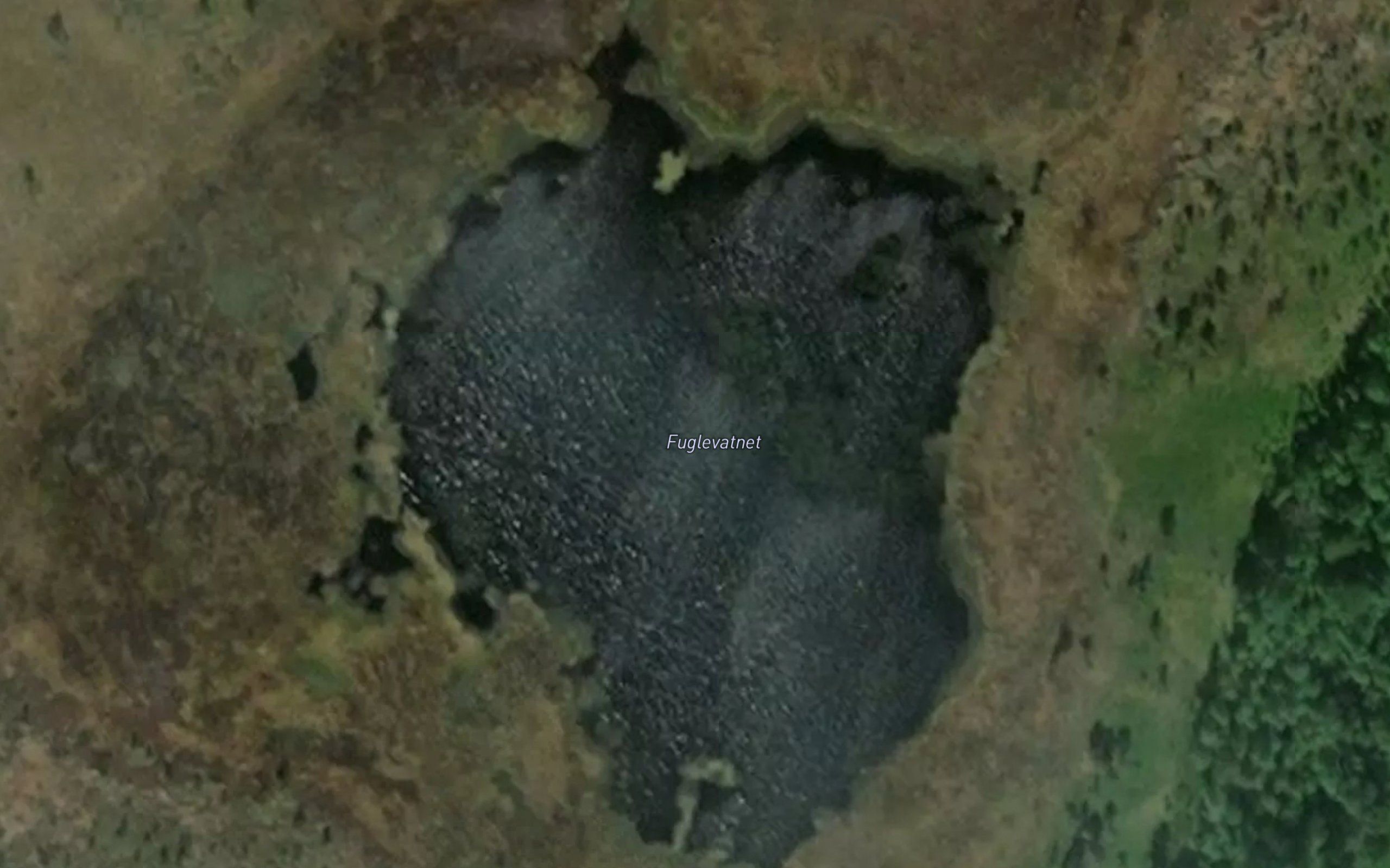 Fuglvatnet