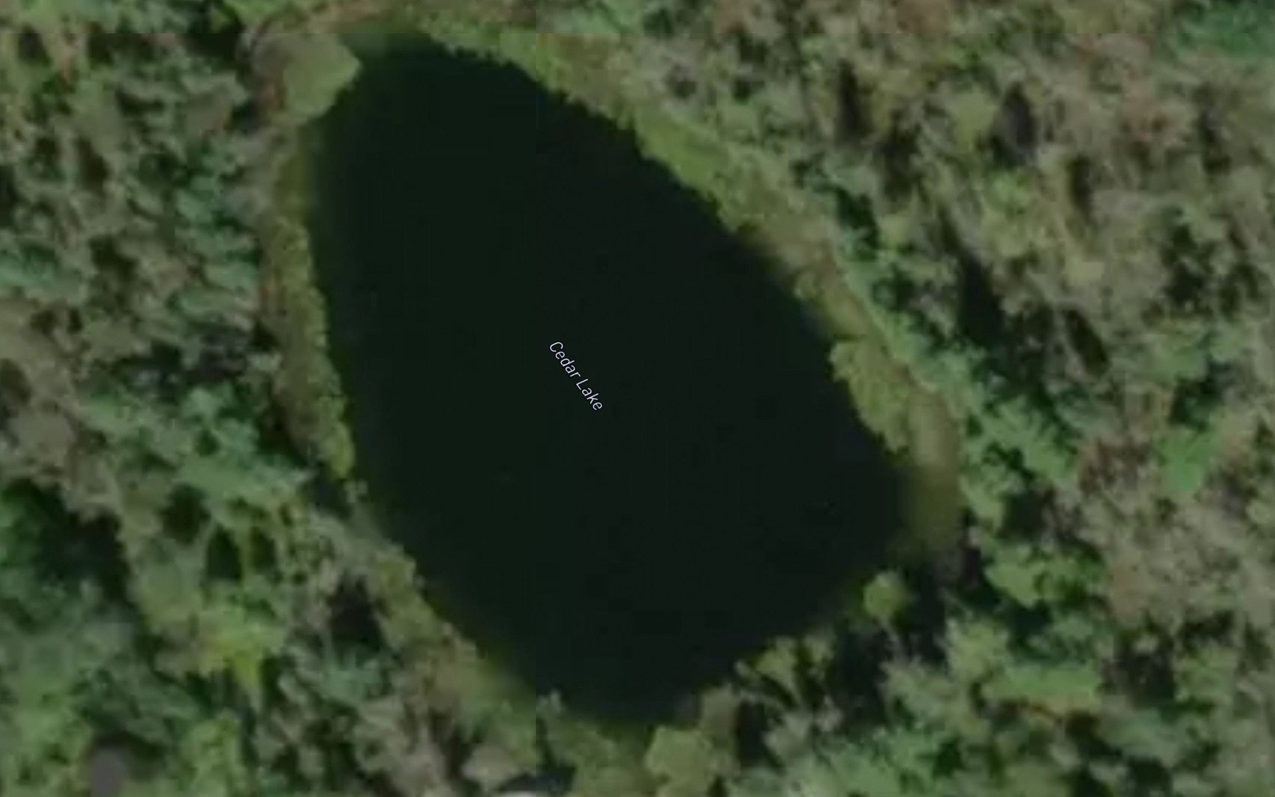 Satellite map of the Cedar Lake