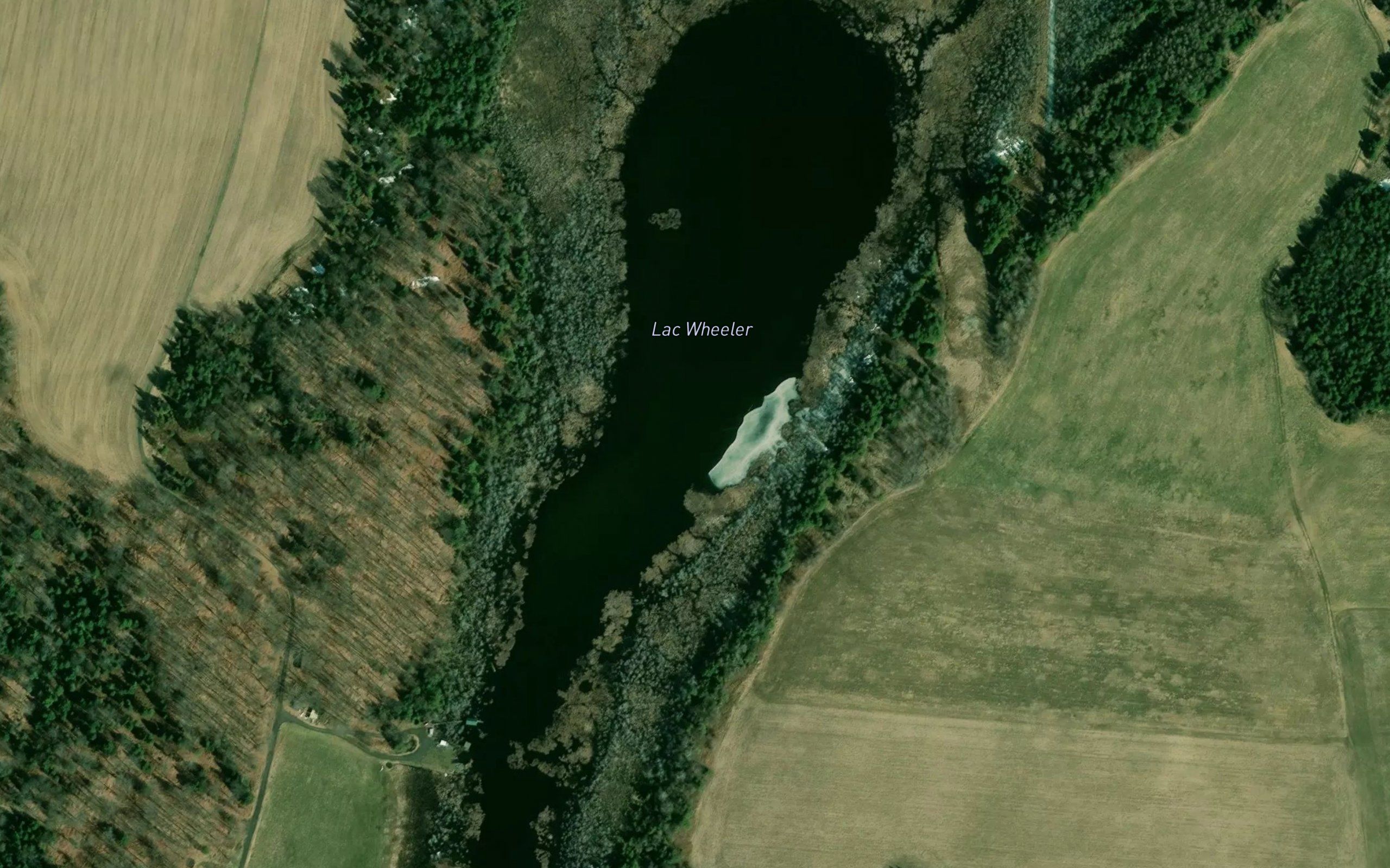 Lac Wheeler