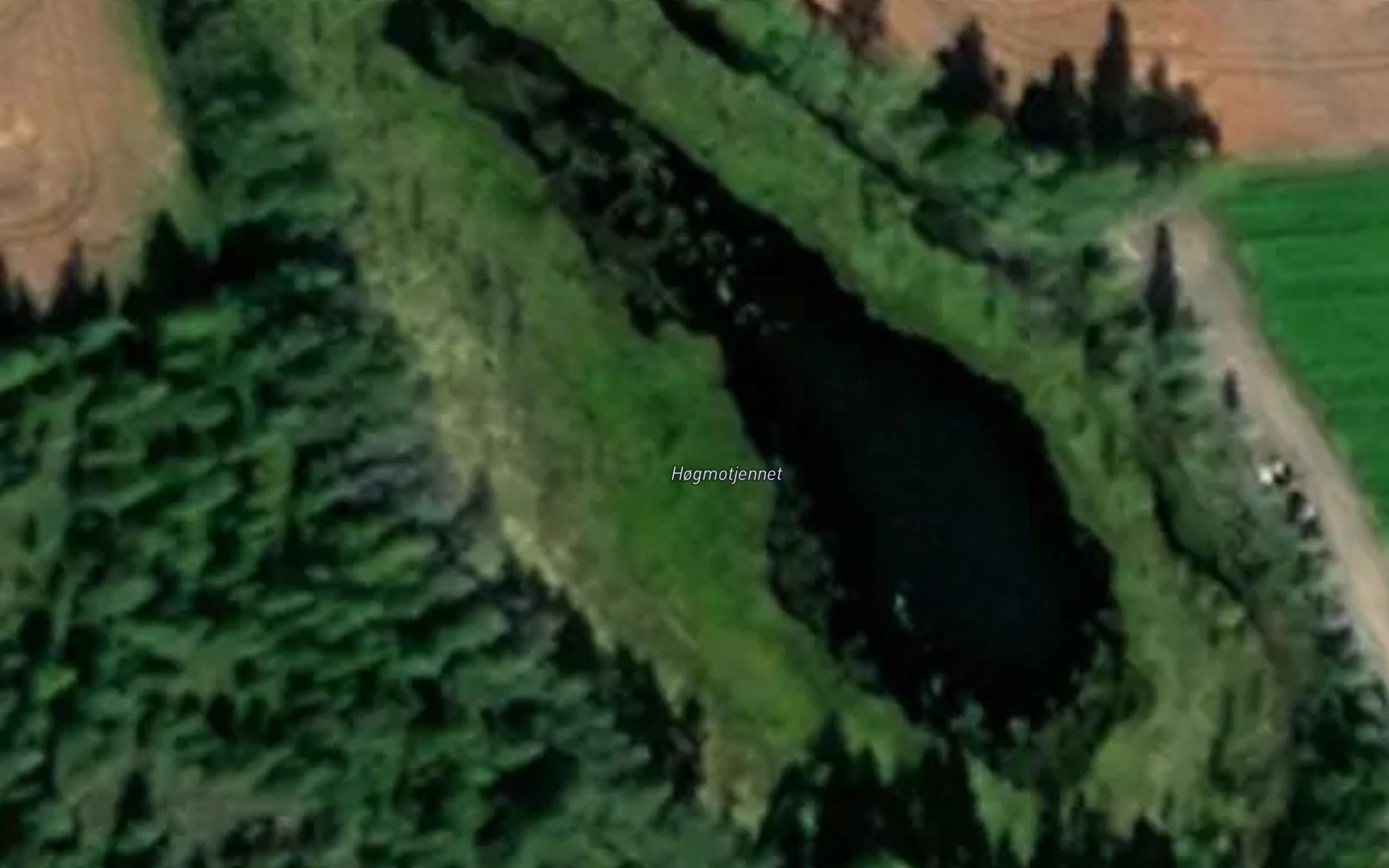 Hogmotjennet