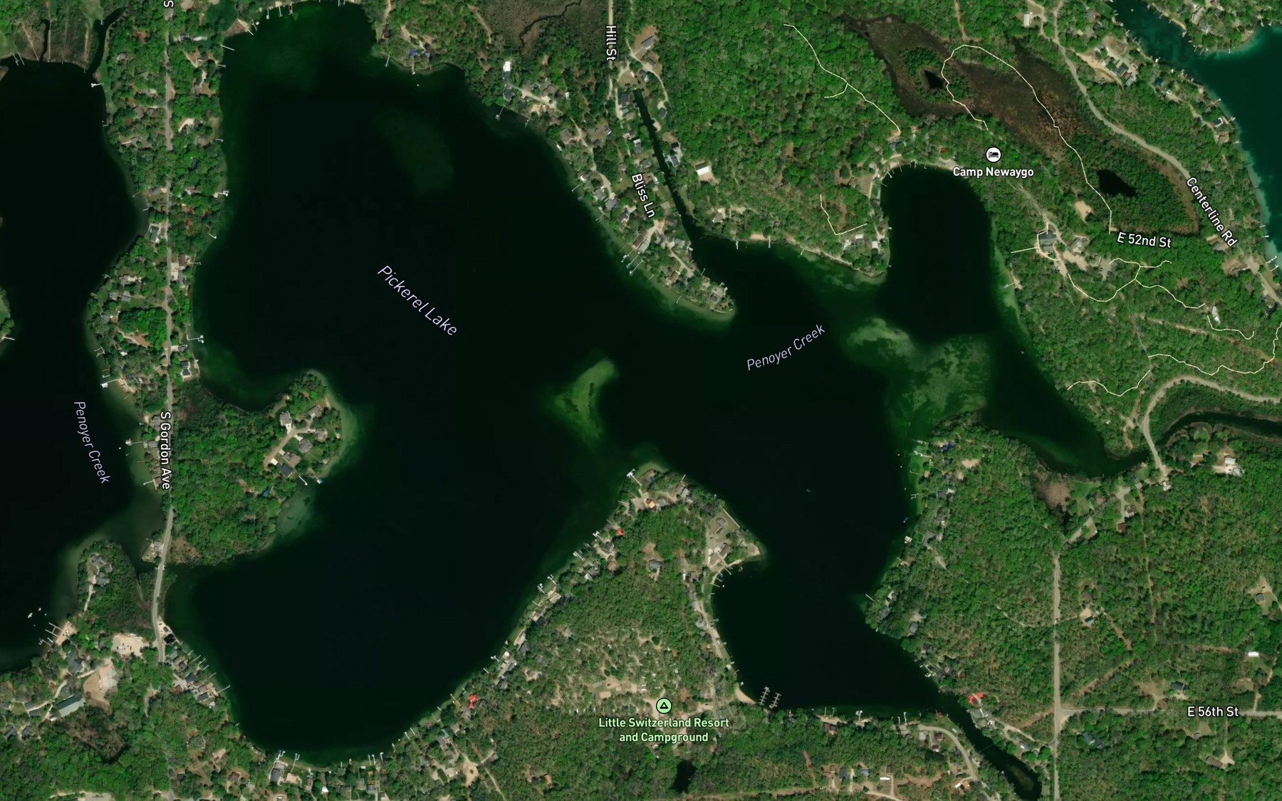 Satellite map of the Pickerel Lake