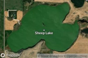 Sheep Lake