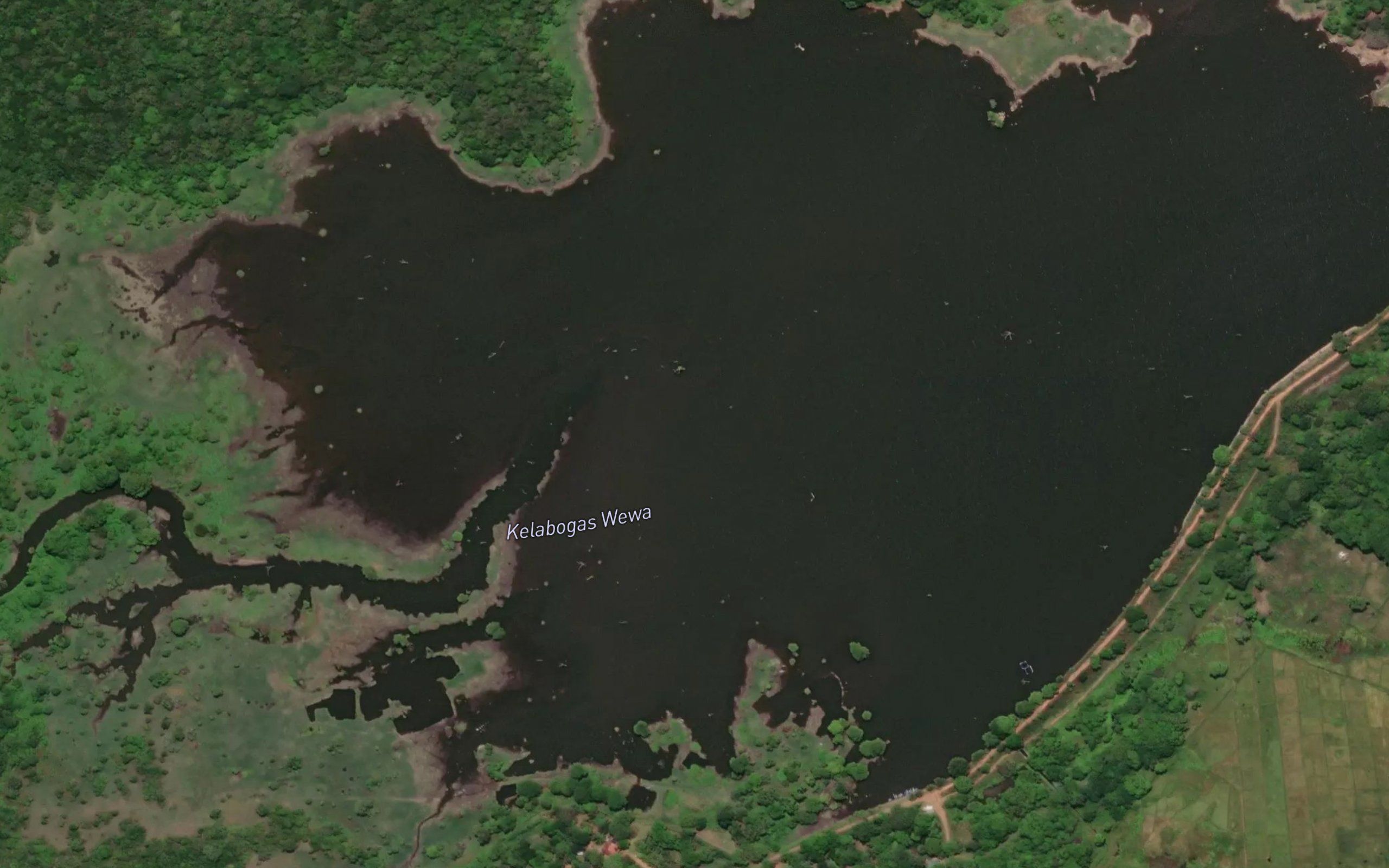 Kokkaichan Kulam