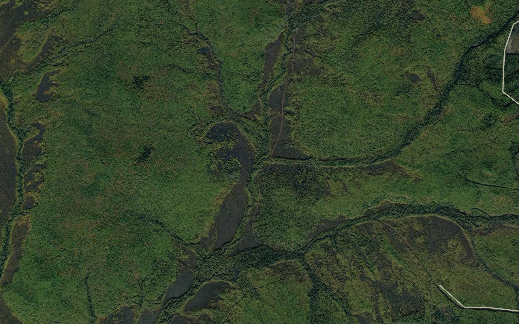 Satellite map of the Khvoynyy