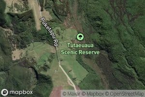 Tutaeuaua Stream
