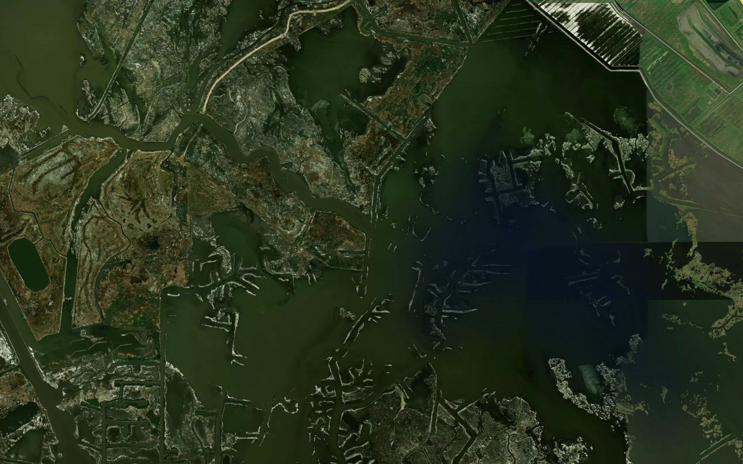 Bayou Dupont