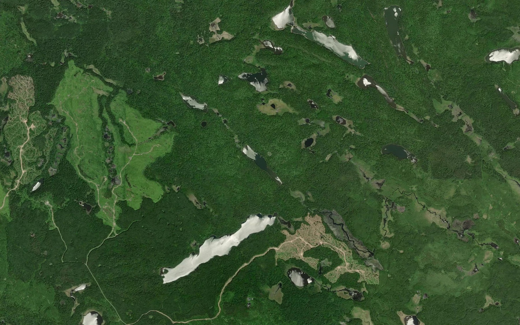 Satellite map of the Cedarlimb Lake