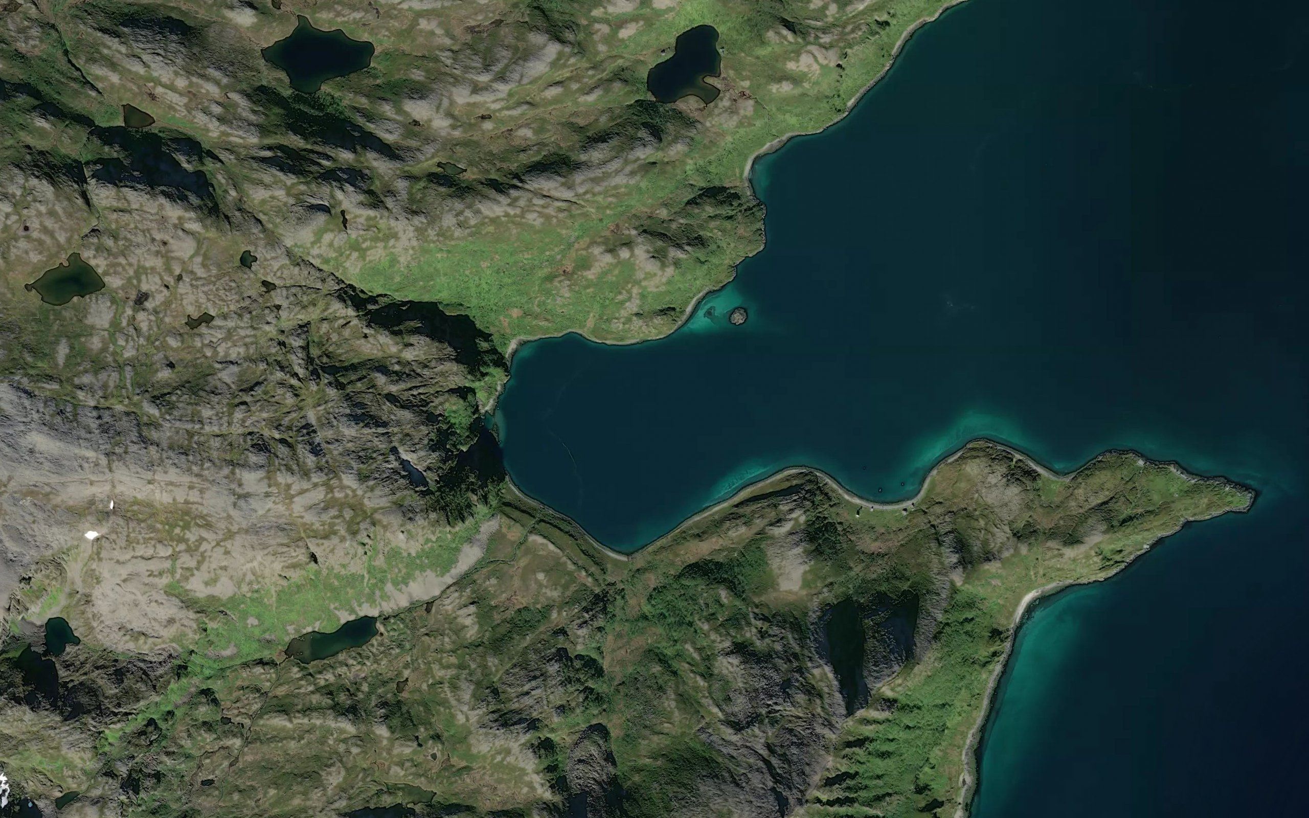 Kuvika