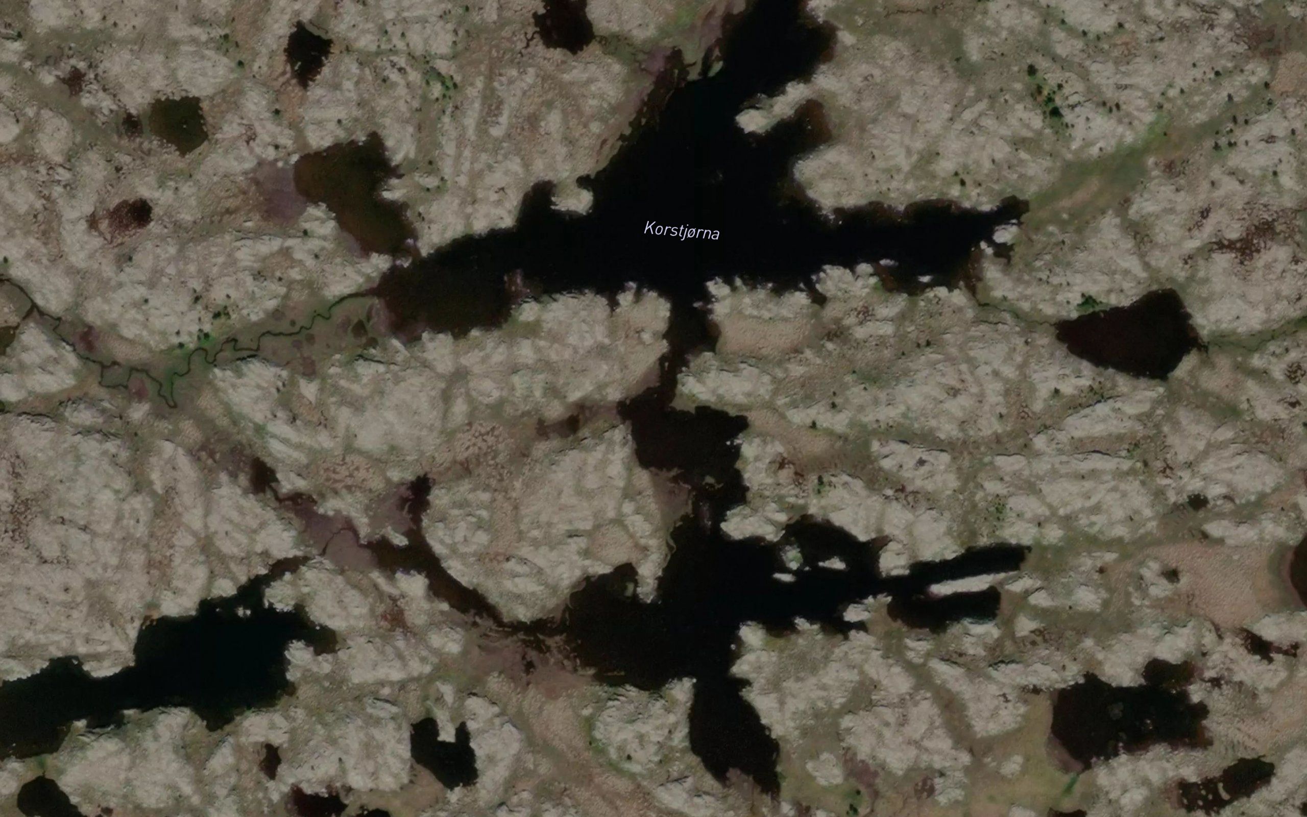 Korstjorna