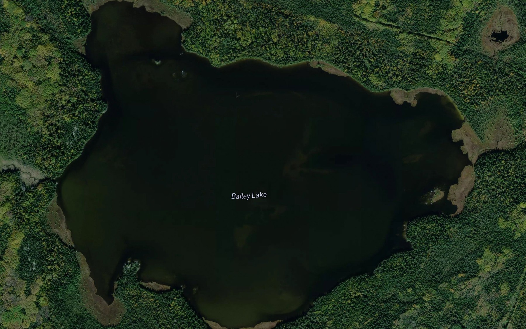 Satellite map of the Bailey Lake
