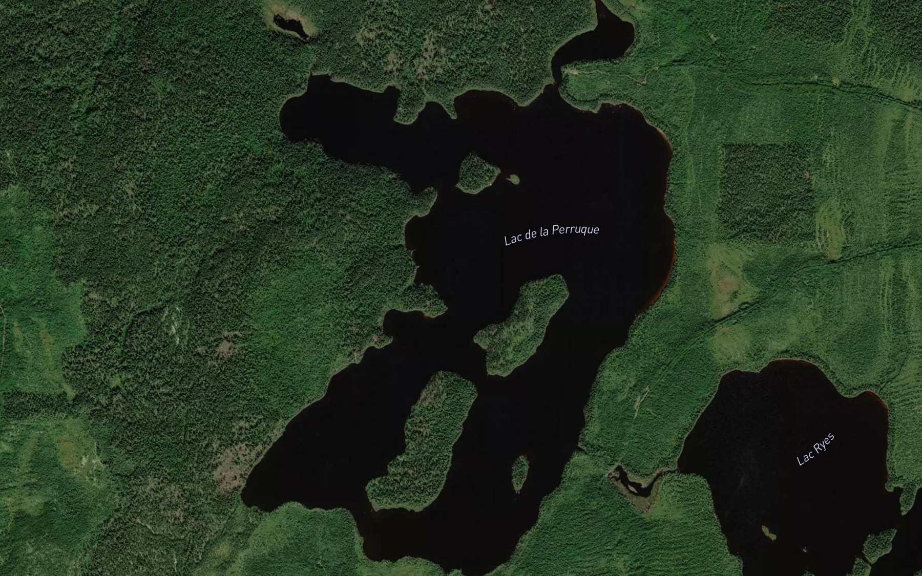 Satellite map of the Lac de la Perruque